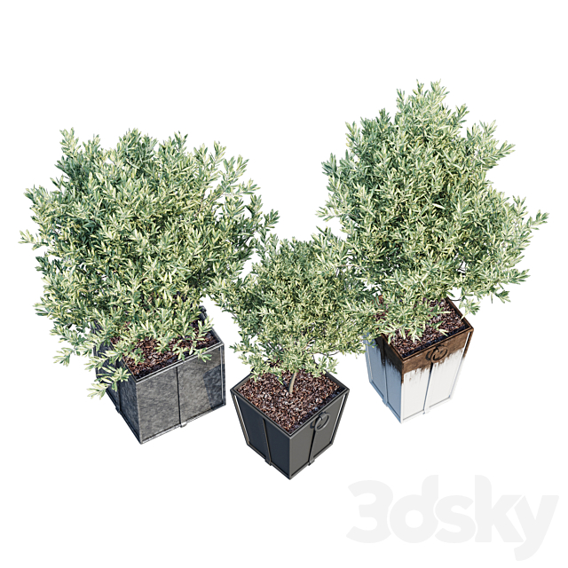 3dsky Free Download