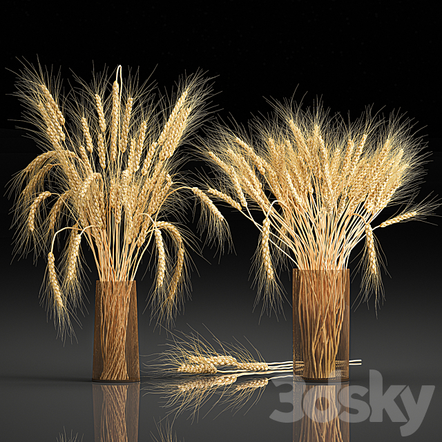 3d model