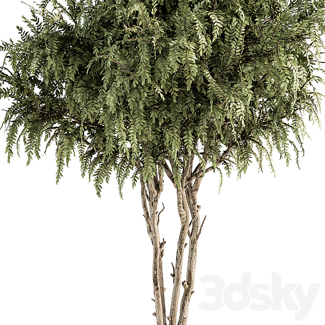 3dsky Free Download