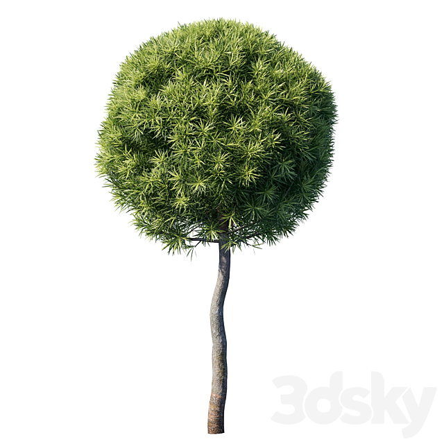 3d model