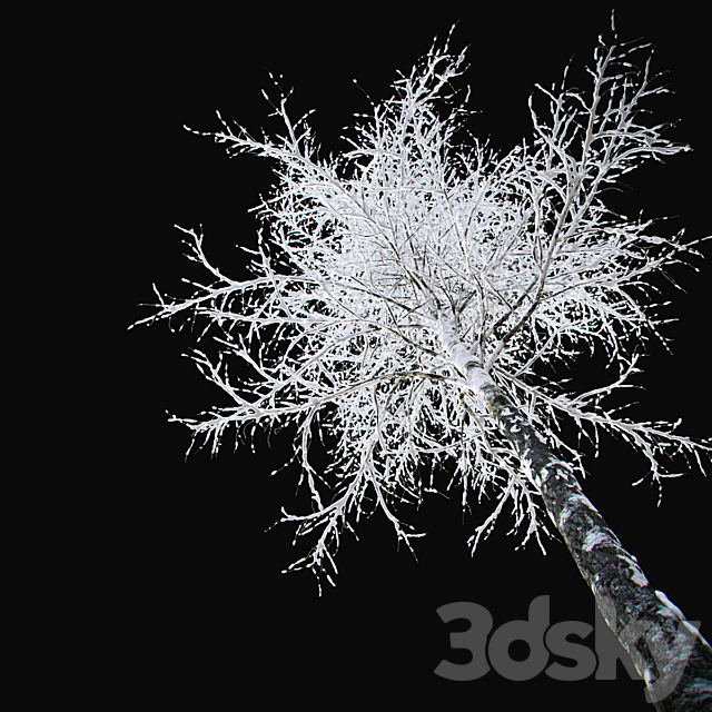 3dsky Free Download
