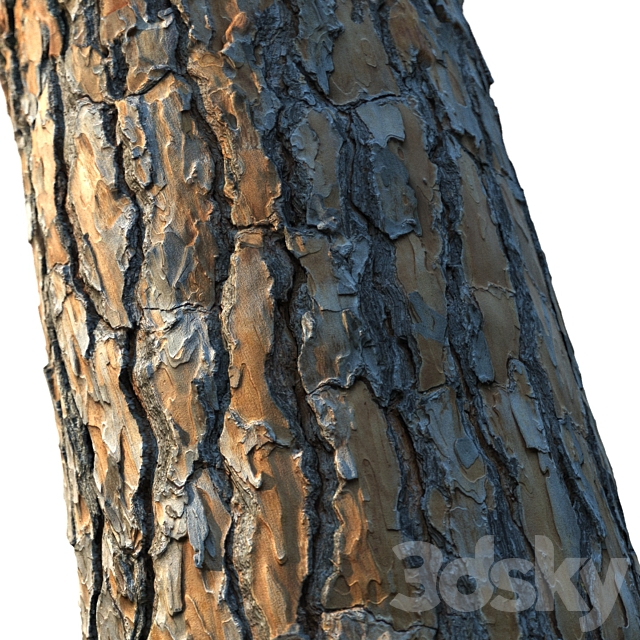 3dsky Free Download