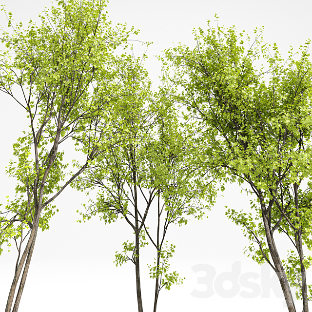 3d model