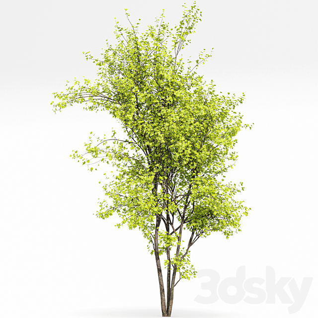 3dsky Free Download