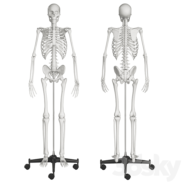 3d model