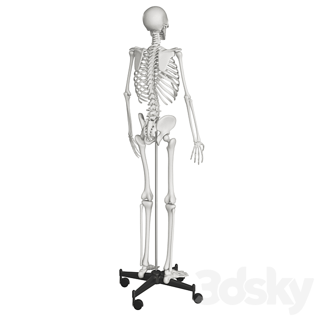3dsky Free Download