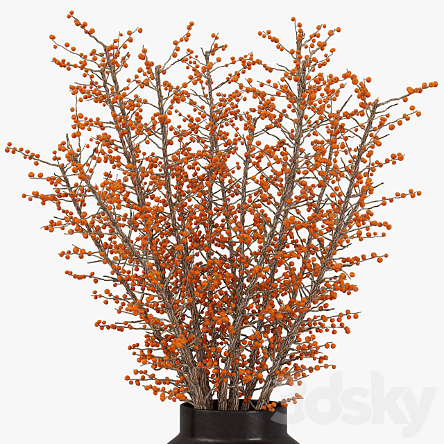 3dsky Free Download
