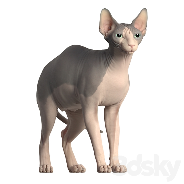 3d model