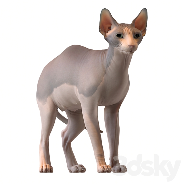 3dsky Free Download