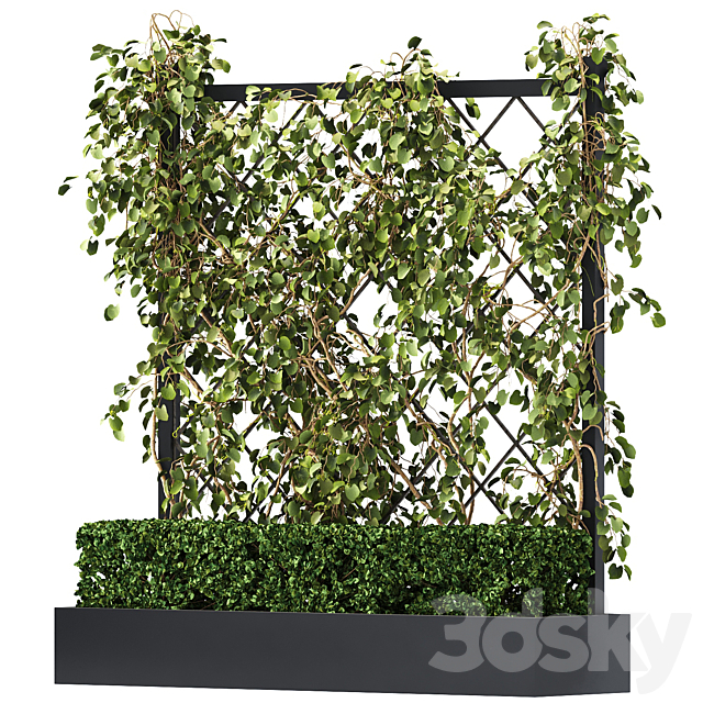 3d model