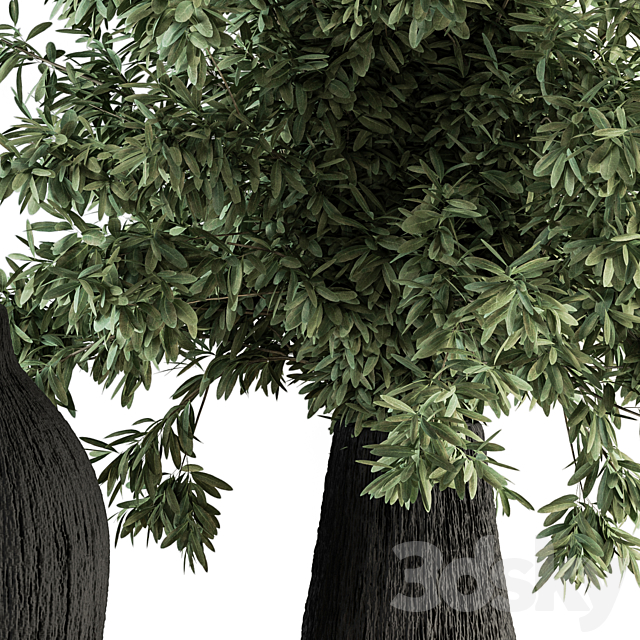 3d model