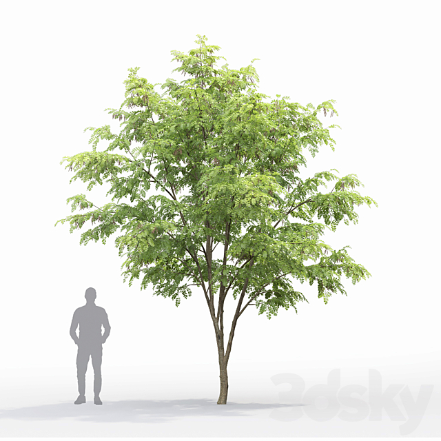 3d model