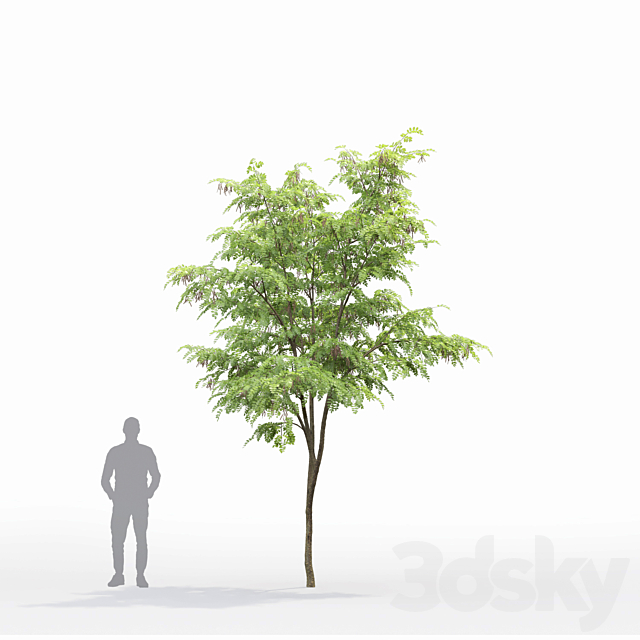 3dsky Free Download