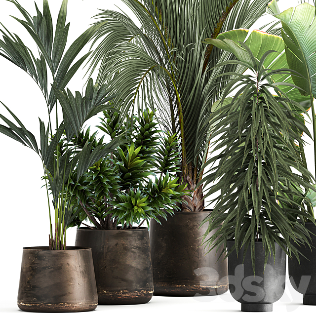3d model