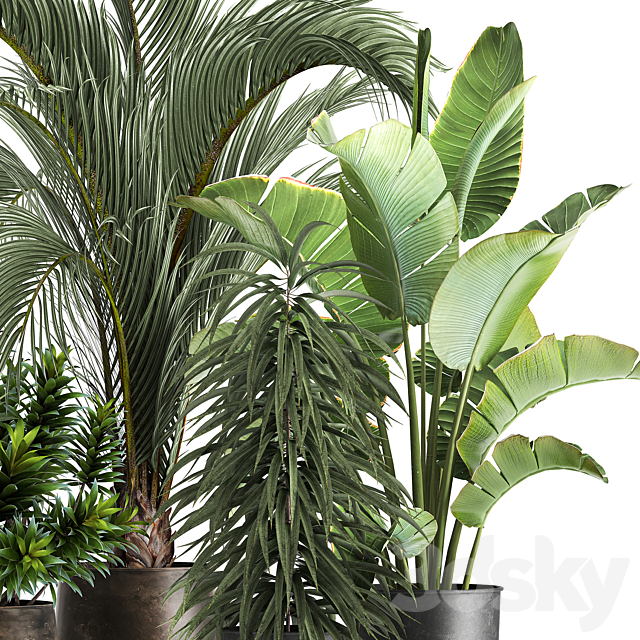 3dsky Free Download