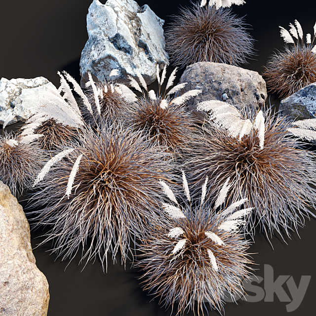 3dsky Free Download