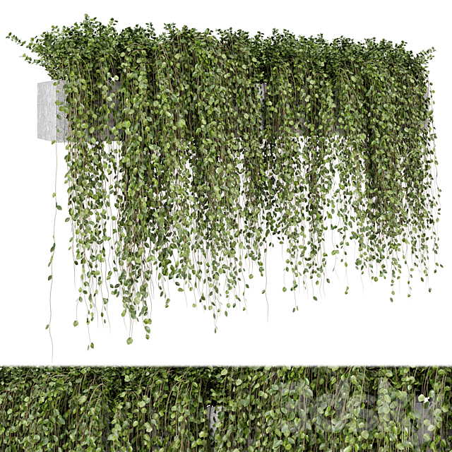 3d model