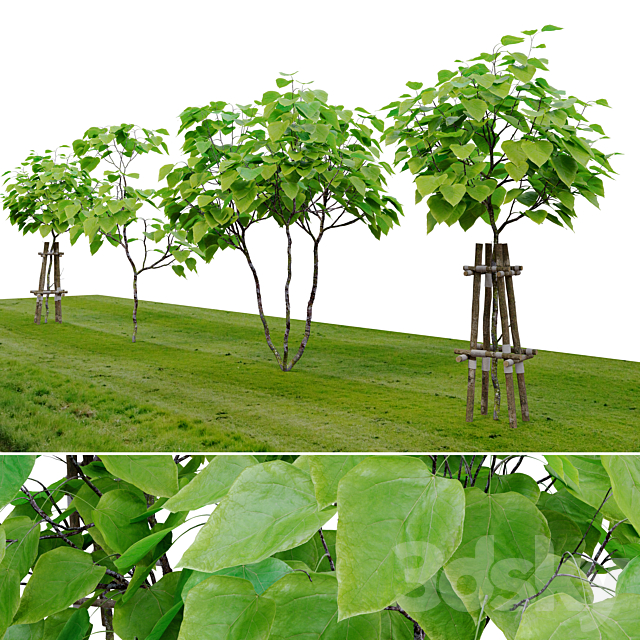 3d model