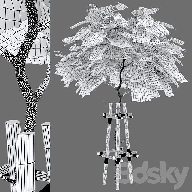 3dsky Free Download