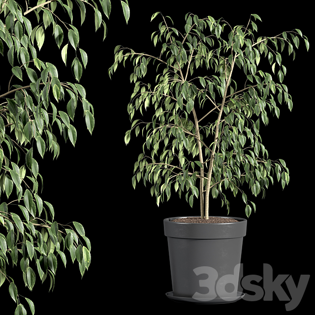 3d model