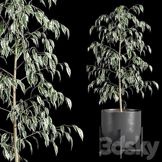 3dsky Free Download