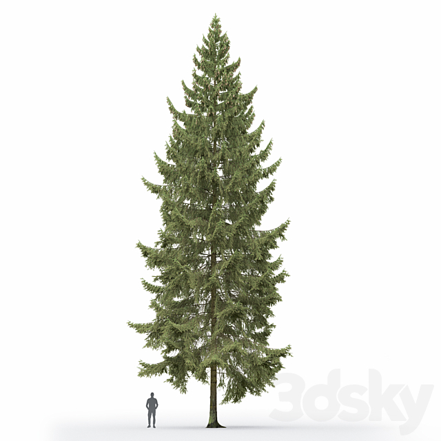 3d model