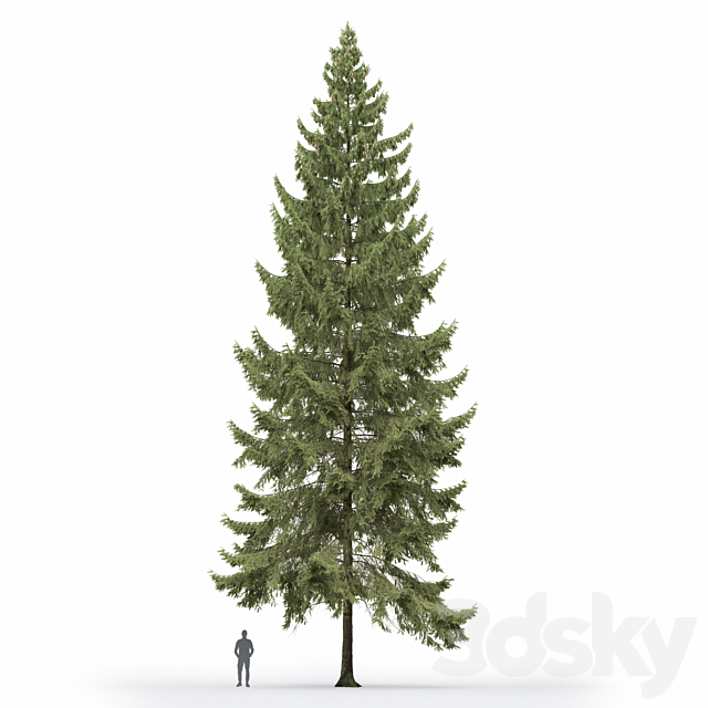 3dsky Free Download