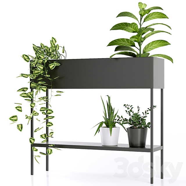 3d model