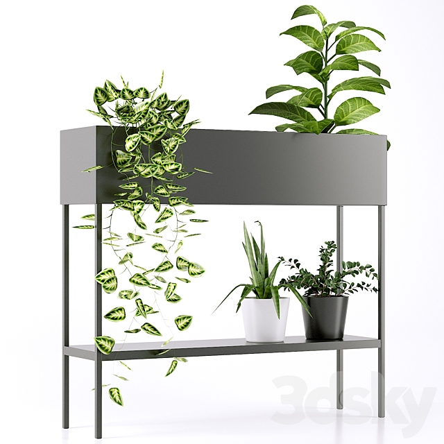 3dsky Free Download