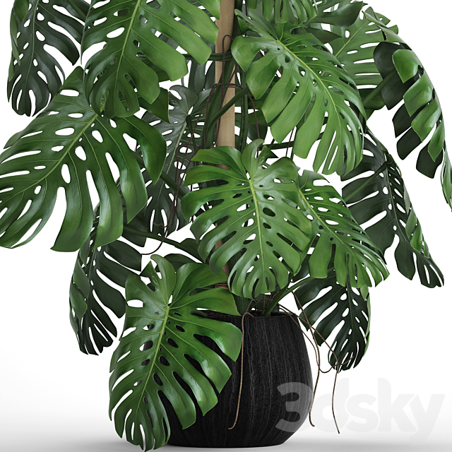 3dsky Free Download
