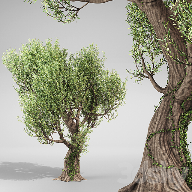 3d model
