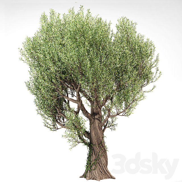 3dsky Free Download