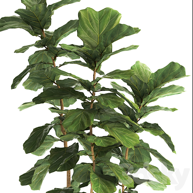 3d model