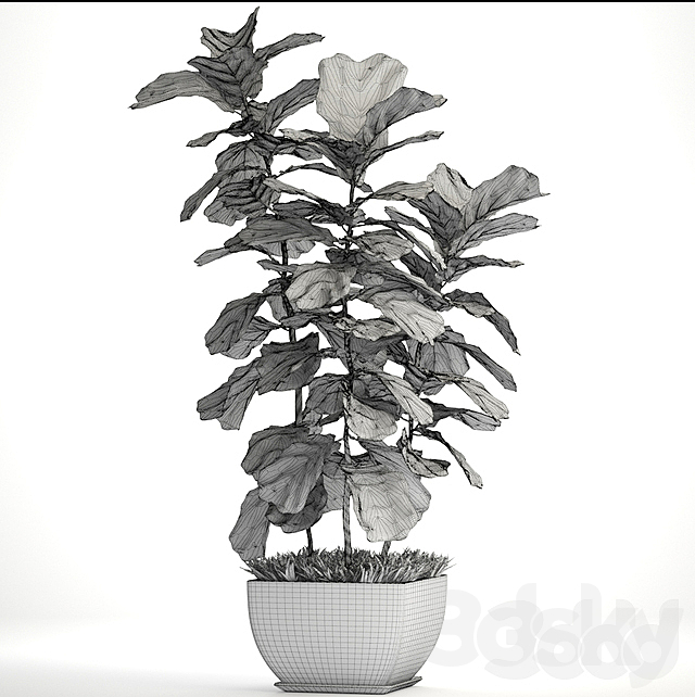 3dsky Free Download