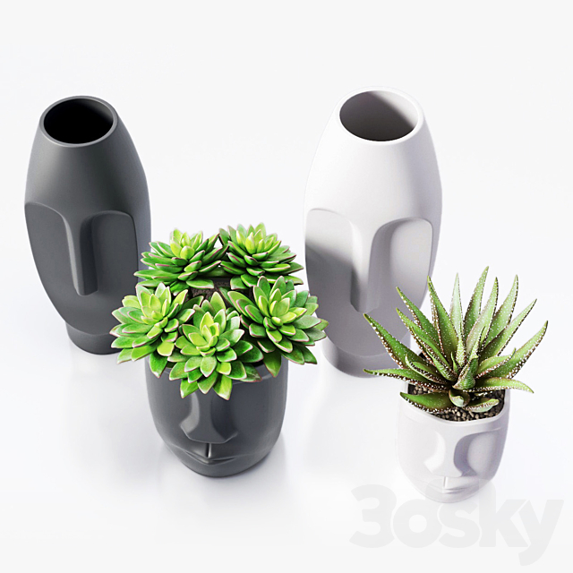 3d model