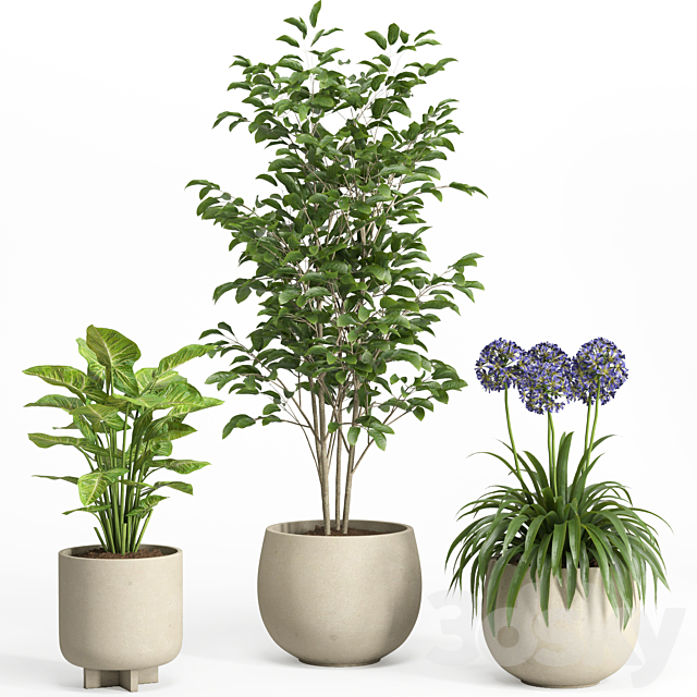 3d model