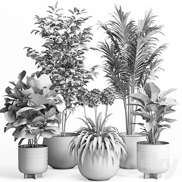 3dsky Free Download