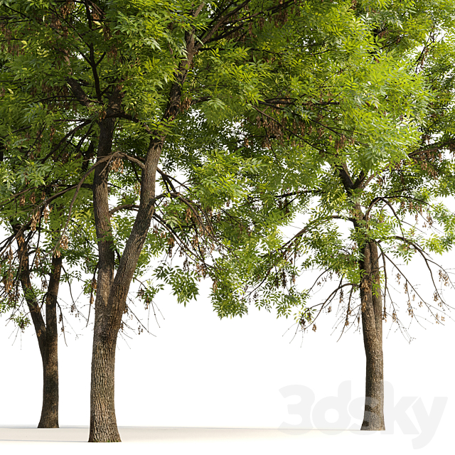 3d model