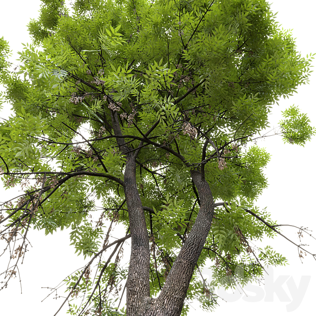 3dsky Free Download