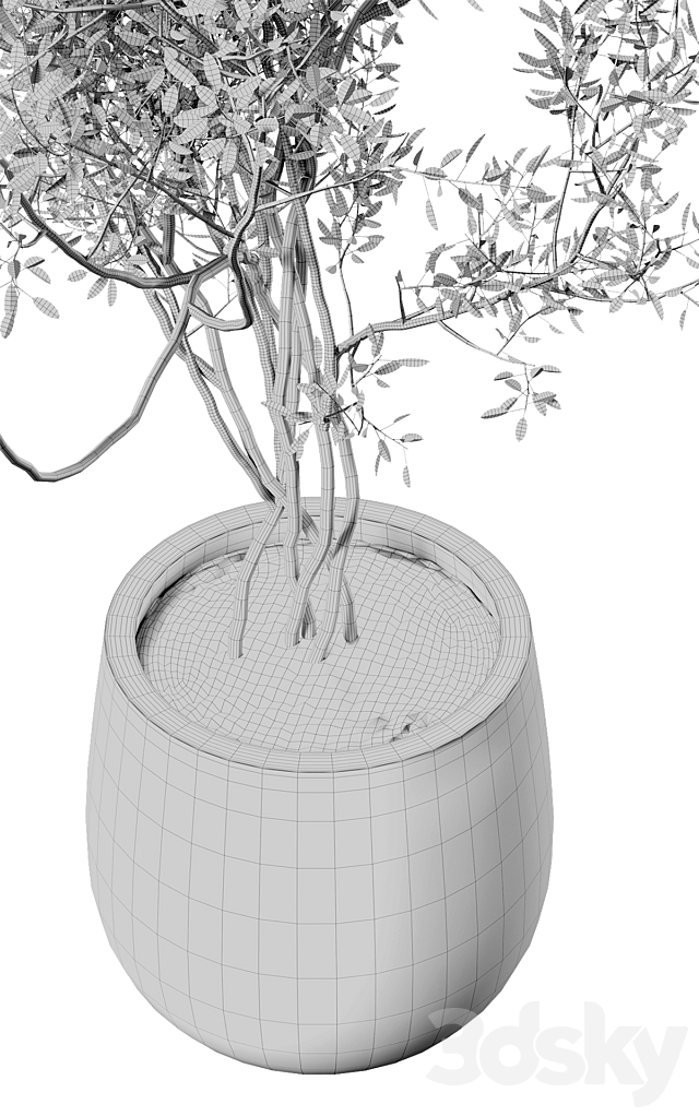 outdoor plant 3ds Max - thumbnail 3