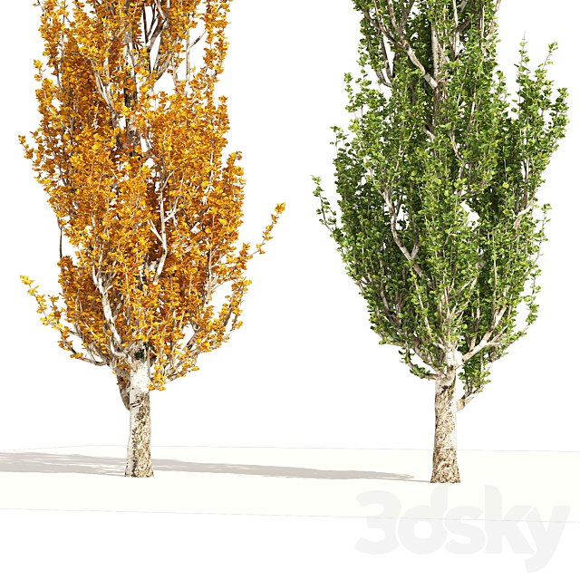 3dsky Free Download