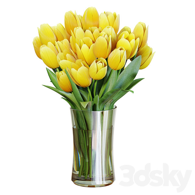 3dsky Free Download