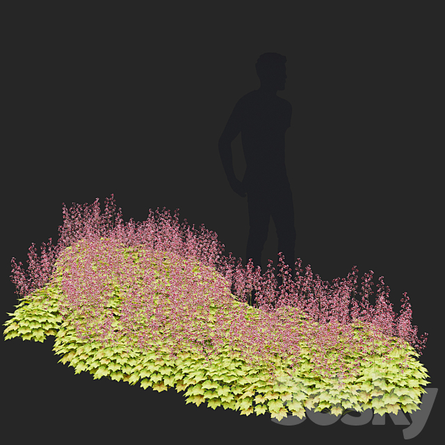 3dsky Free Download