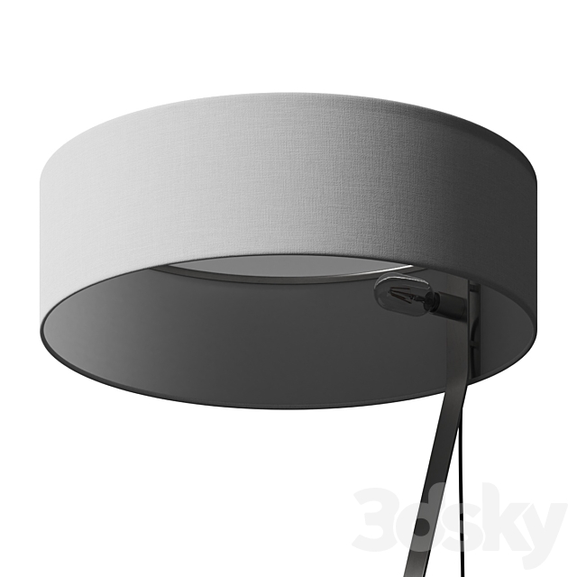 3d model
