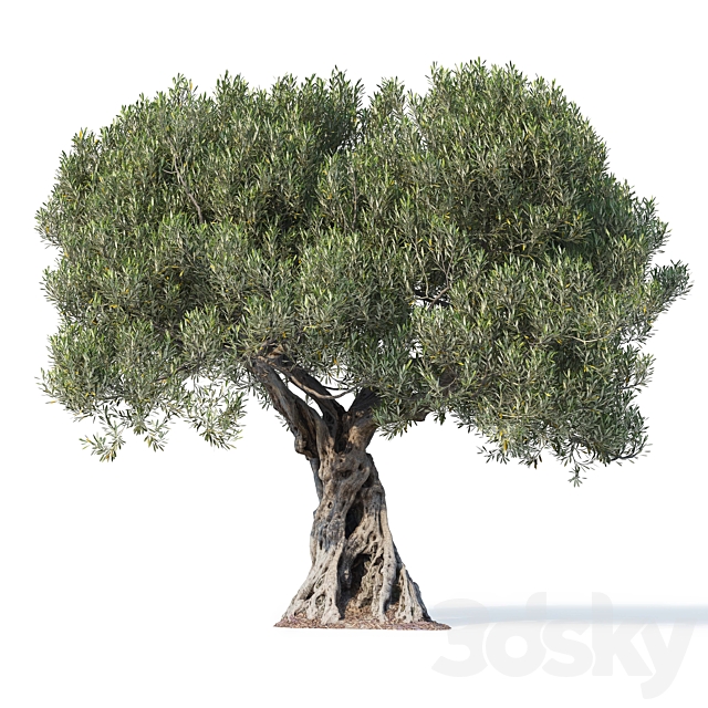 3dsky Free Download