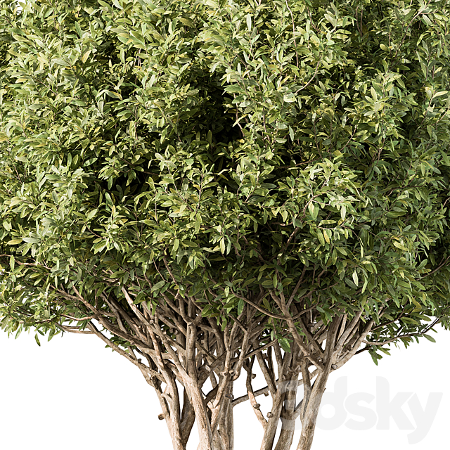 3d model