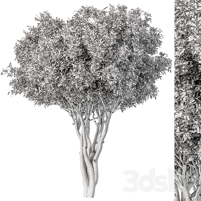 3dsky Free Download