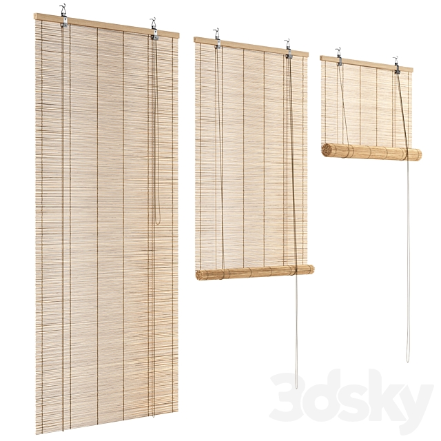 3dsky Free Download