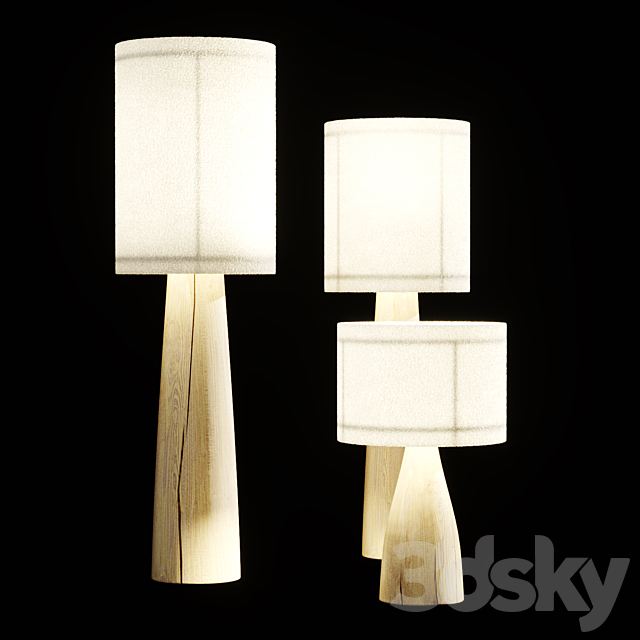 3d model