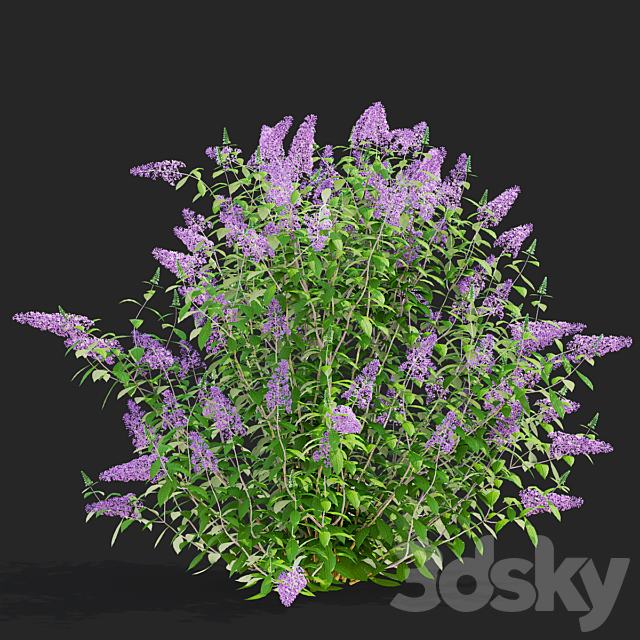 3d model